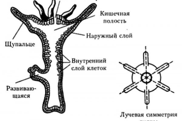 Kra21.gl